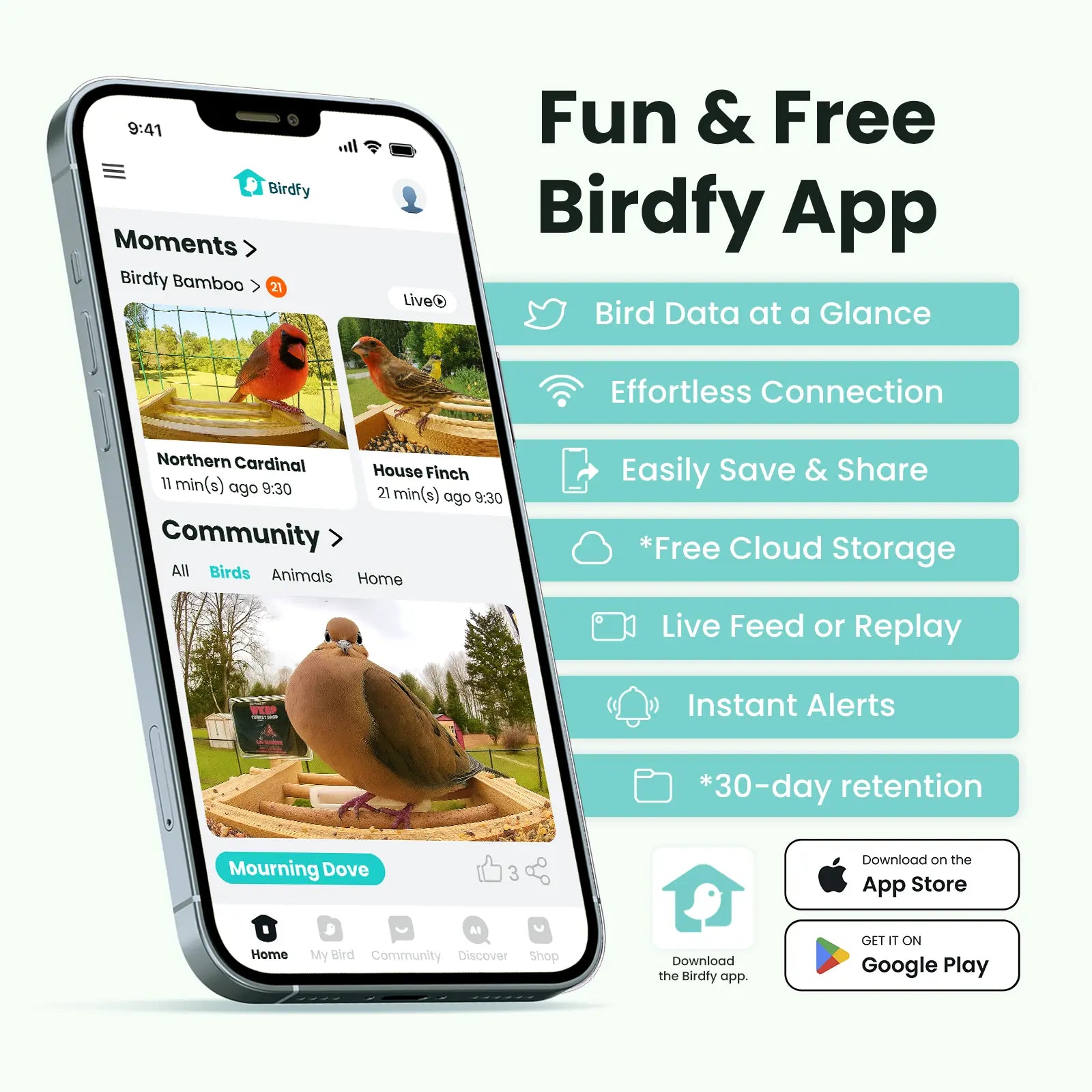 Birdfy Smart Bird Feeder with Camera, Solar Powered 2K Live Tream Bamboo Wood Feeder& Metal Guard, AI Identify Birds & Auto Record Video, Wild Birds Watching Ideal Gift for Chistmas for Mom,Bird-Lover, Summervibes, Petlovers