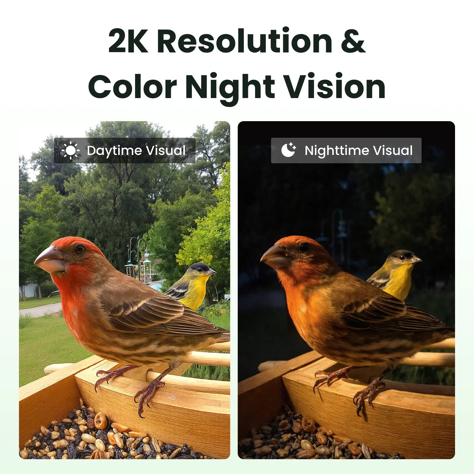 Birdfy Smart Bird Feeder with Camera, Solar Powered 2K Live Tream Bamboo Wood Feeder& Metal Guard, AI Identify Birds & Auto Record Video, Wild Birds Watching Ideal Gift for Chistmas for Mom,Bird-Lover, Summervibes, Petlovers