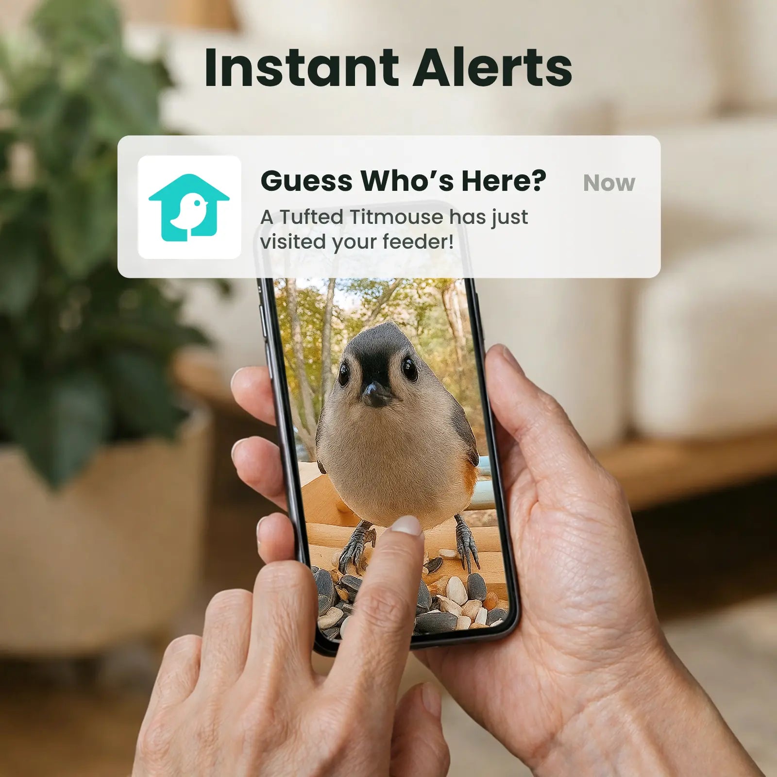 Birdfy Smart Bird Feeder with Camera, Solar Powered 2K Live Tream Bamboo Wood Feeder& Metal Guard, AI Identify Birds & Auto Record Video, Wild Birds Watching Ideal Gift for Chistmas for Mom,Bird-Lover, Summervibes, Petlovers