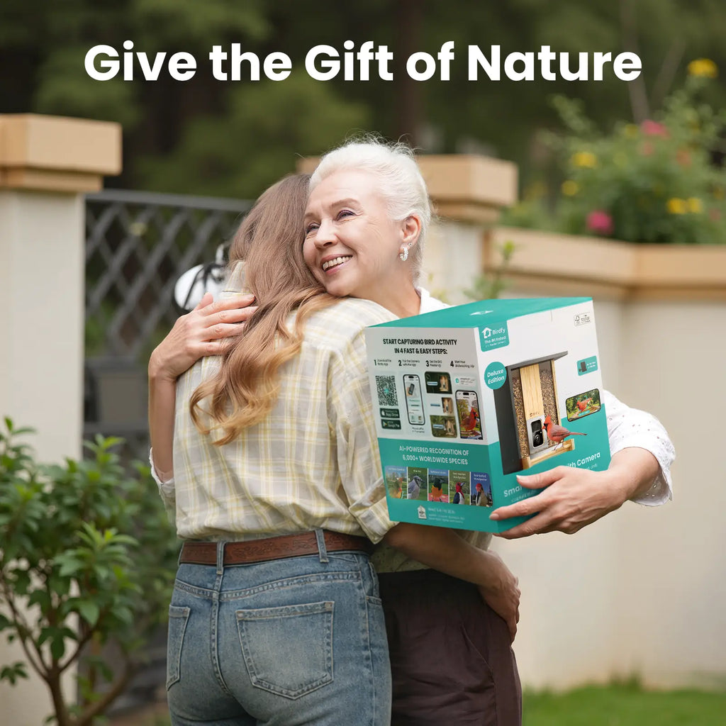 Birdfy Smart Bird Feeder with Camera, Solar Powered 2K Live Tream Bamboo Wood Feeder& Metal Guard, AI Identify Birds & Auto Record Video, Wild Birds Watching Ideal Gift for Chistmas for Mom,Bird-Lover, Summervibes, Petlovers