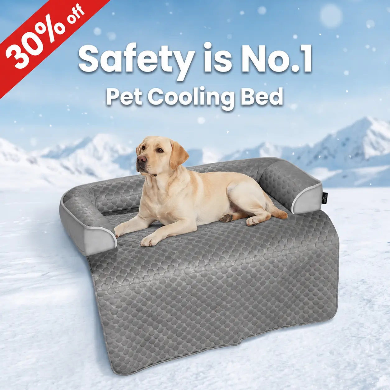 Blunique Cooling Dog Couch Bed with Bolster Sides - Q-Max >0.35, Waterproof Fabric, Non-Slip Base, Easy Cleaning, Cooling Touch Surface, Supportive Rest - Puppy Bed for Home & Camping Use