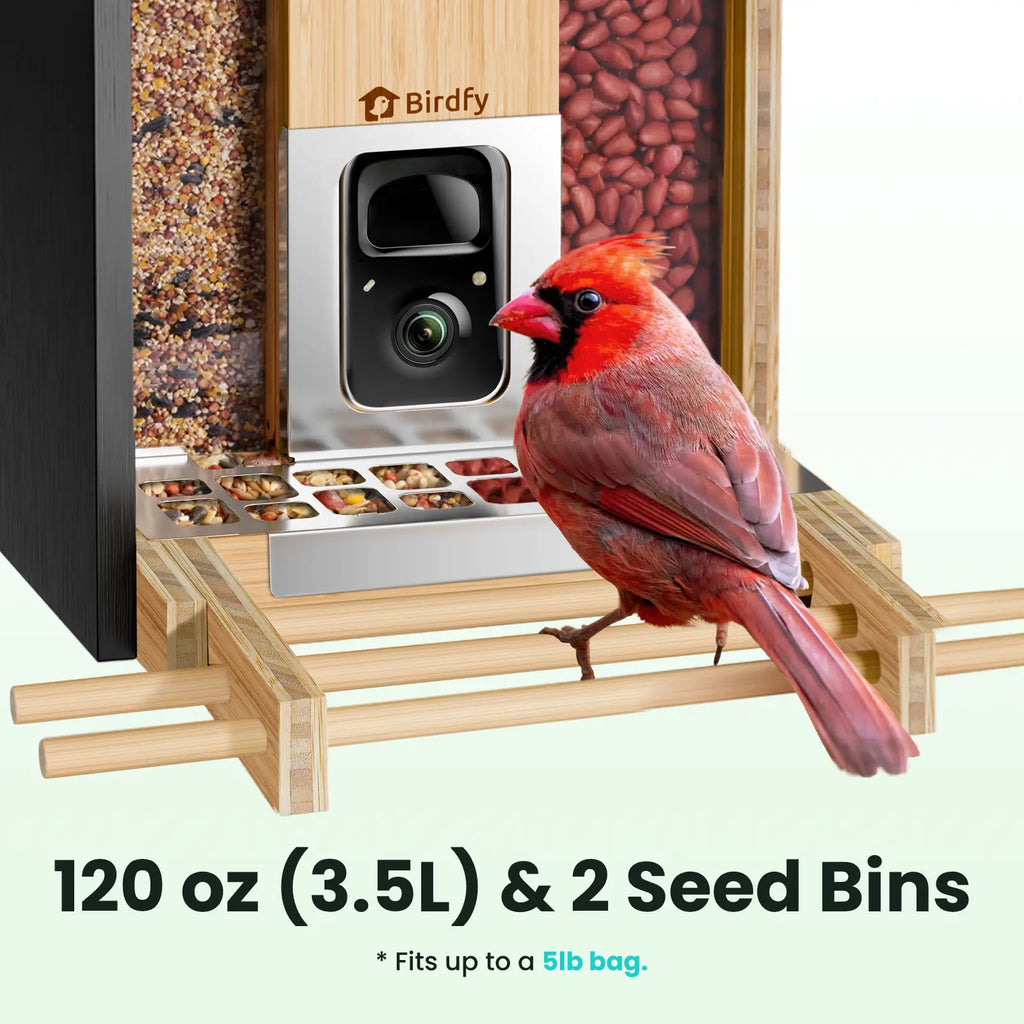 Birdfy Smart Bird Feeder with Camera, Solar Powered 2K Live Tream Bamboo Wood Feeder& Metal Guard, AI Identify Birds & Auto Record Video, Wild Birds Watching Ideal Gift for Chistmas for Mom,Bird-Lover, Summervibes, Petlovers