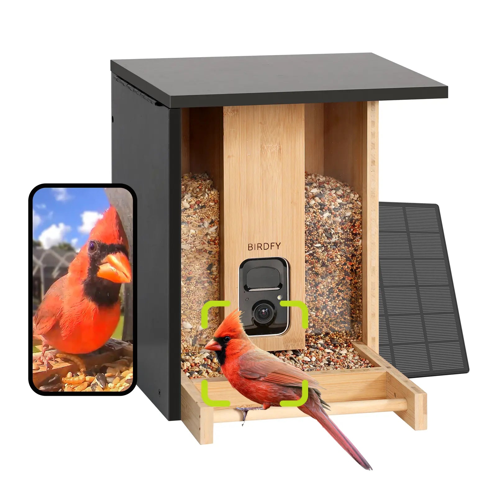 Birdfy Smart Bird Feeder with Camera, Solar Powered 2K Live Tream Bamboo Wood Feeder& Metal Guard, AI Identify Birds & Auto Record Video, Wild Birds Watching Ideal Gift for Chistmas for Mom,Bird-Lover, Summervibes, Petlovers