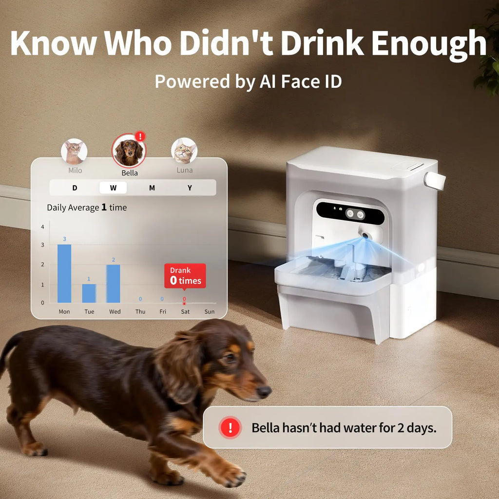 PETKIT Eversweet Ultra AI Camera Pet Water Fountain - 5L/169Fl Oz Filter-Free Automatic Fountain with 140° Wide-Angle Lens, 5G Wifi, App Control, Wastewater Separation, End-To-End Encrypted, Spring Flow, Cubes, Abs+Steel, Hydration Track for Small Dogs, F