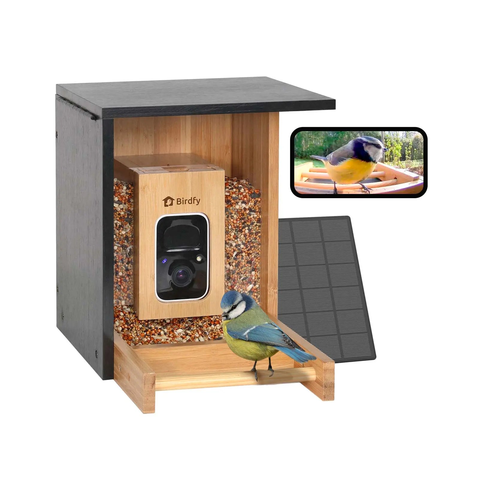 Birdfy Smart Bird Feeder with Camera, Solar Powered 2K Live Tream Bamboo Wood Feeder& Metal Guard, AI Identify Birds & Auto Record Video, Wild Birds Watching Ideal Gift for Chistmas for Mom,Bird-Lover, Summervibes, Petlovers