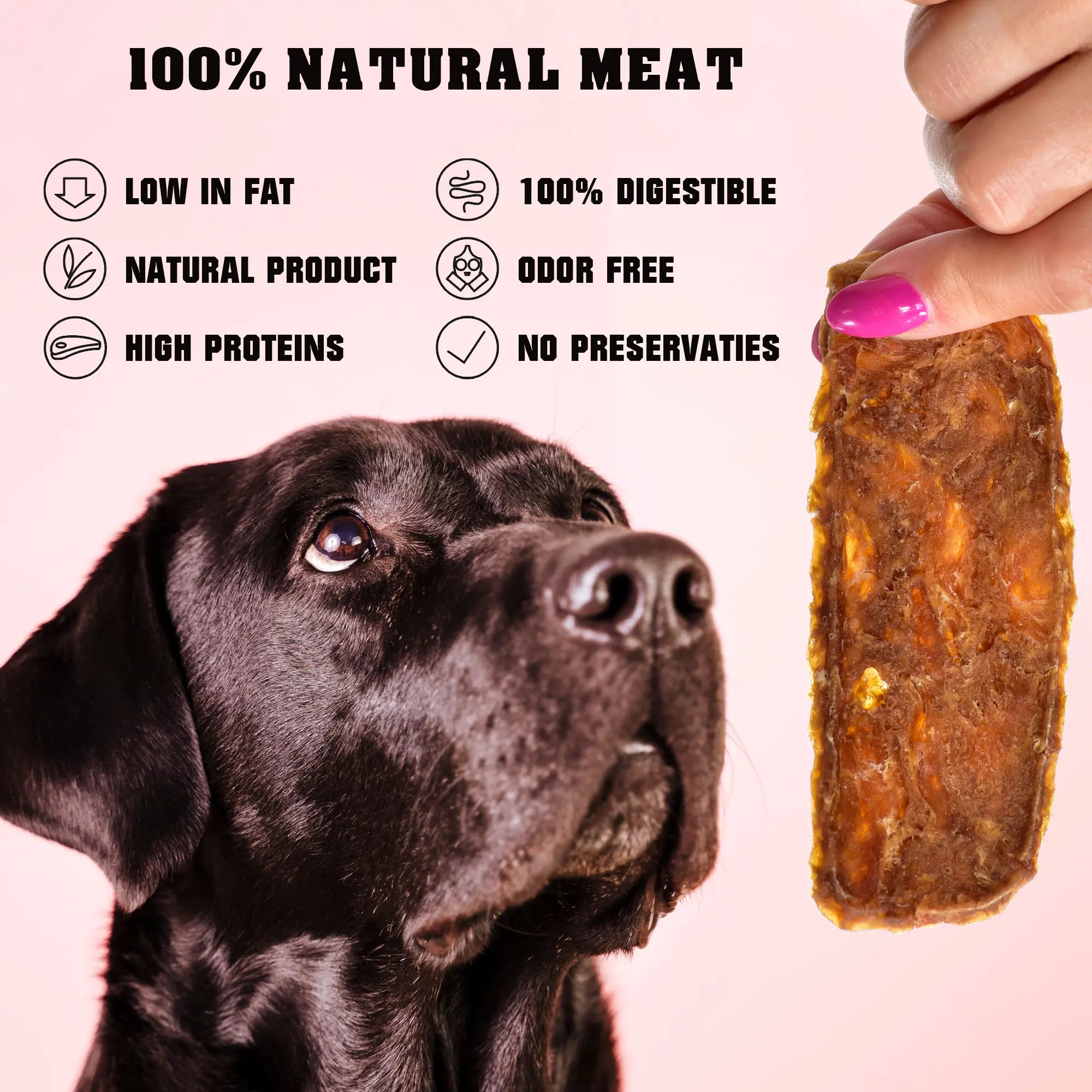 Chicken Jerky Dog Treats 1.5 Lb - All Natural High Protein Dried Strips