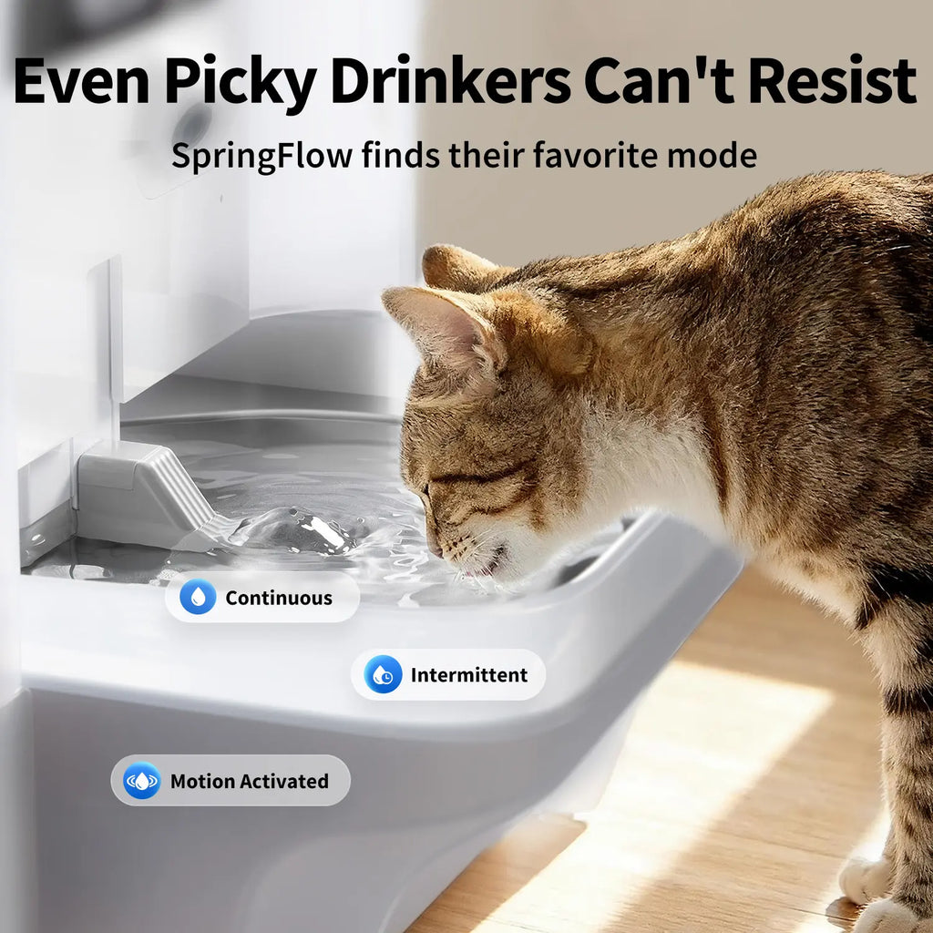 PETKIT Eversweet Ultra AI Camera Pet Water Fountain - 5L/169Fl Oz Filter-Free Automatic Fountain with 140° Wide-Angle Lens, 5G Wifi, App Control, Wastewater Separation, End-To-End Encrypted, Spring Flow, Cubes, Abs+Steel, Hydration Track for Small Dogs, F